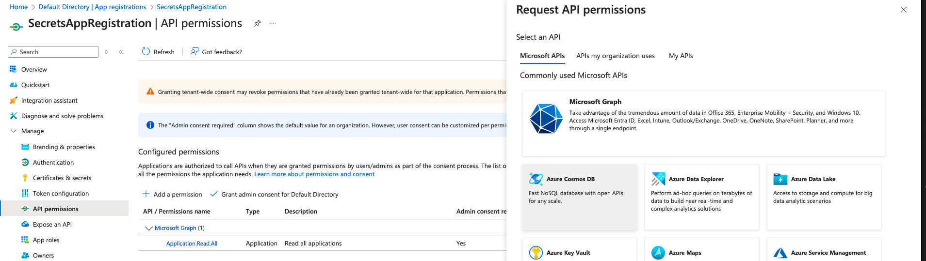 App Registration Api permissions